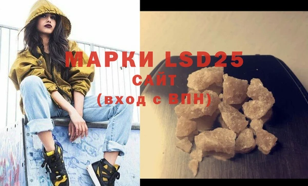 спайс Аша