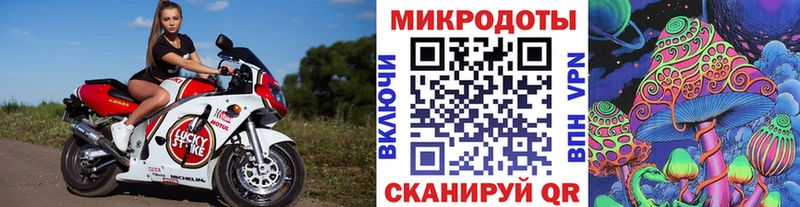 Псилоцибиновые грибы Cubensis Тарко-Сале